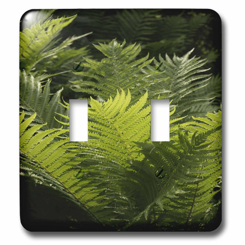 3dRose LLC lsp_78921_2 Ferns Double Toggle Switch