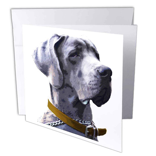 3dRose A Funny Great Dane Dog With a Serious Look on White Background - Greeting Cards (gc_280399_2)