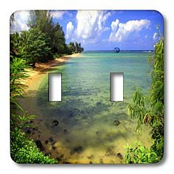 3dRose LSP_66301_2"Nature, Ocean Scene, Green, Blue, Double Toggle Switch, Multicolor