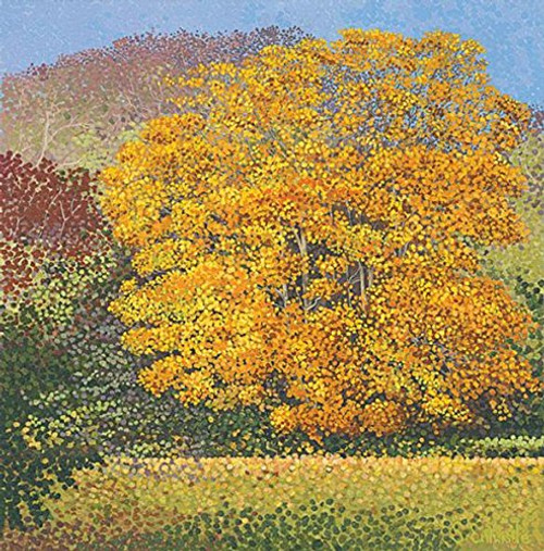 Susan Entwistle Art Field Maple Greetings Card, 15 cm x 15 cm, Paper, Multicolour, 15 x 15 x 1 cm