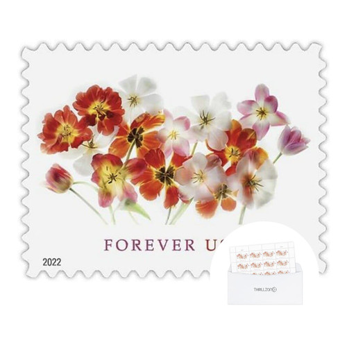 US Postal TULIPS Forever First Class Postage Mailing Stamps for Invitation Wedding Celebration Party Love Valentines Graduation Announcement RSVP Scott 5681 (2 Sheet of 20) - TZ Envelope