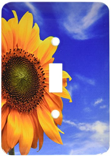3dRose LSP_56906_1"Giant Sunflower Against The Blue Sky Single Toggle Switch