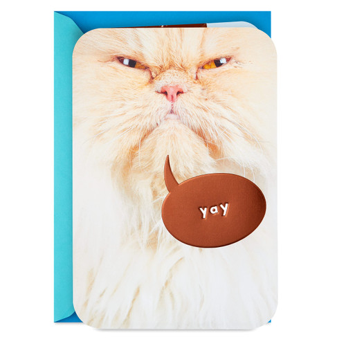 Hallmark Funny Father's Day Card or Birthday Card from Cat (Celebrating)