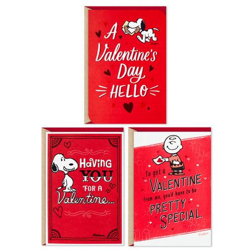 Hallmark Pack of 3 Peanuts Valentines Day Cards (Snoopy and Charlie Brown)