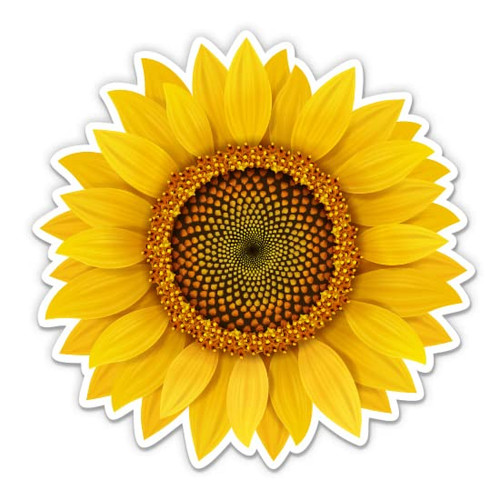 GT Graphics Express Sunflower Realistic Pretty - 5'' Vinyl Sticker - for Car Laptop I-Pad - Waterproof Decal
