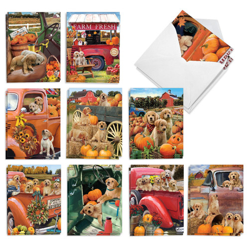 The Best Card Company 20 Assorted Halloween Notes Bulk Box Set 4 x 5.12 Inch with Envelopes (10 Designs, 2 Each) Pumpkin Puppies AM10191HWG-B2x10