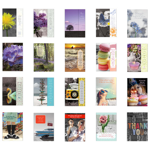 SHADE TREE GREETINGS Greeting Card Assortment by Paper Street | Multi-Occasion: Birthday, Sympathy, Thank You & Get Well (48 Card Multi-Occasion Assortment)