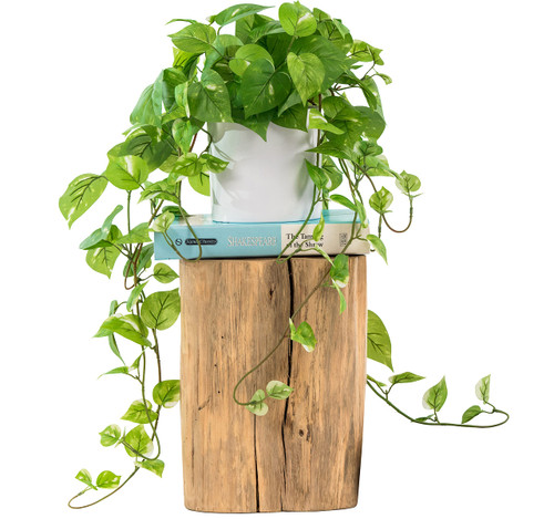 ROVALA Artificial Plants for Home Decor Indoor in Pot, Faux Plants Indoor Fake Plants for Living Room Decor Fake Plants for Bedroom Aesthetic - Pothos ROVALA Artificial Plants for Home Decor Indoor in Pot, Faux Plants Indoor Fake Plants for Living Room Decor Fake Plants for Bedroom Aesthetic - Pothos