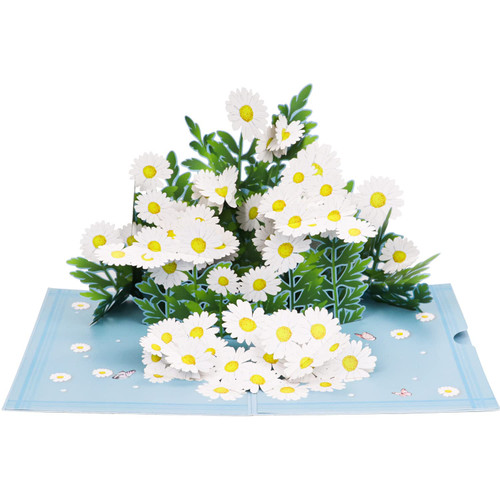 Oalushf Pop Up Cards,Daisy Greeting Cards with Envelopes and Note Tag, Thank You Card Gifts for Mother's Day, Fathers Days, Anniversary Card(5 * 7)