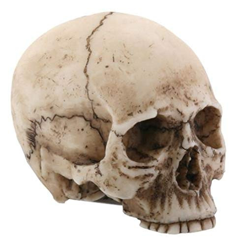 YTC Summit International Small Human Skull Halloween Miniature Figurine 1.75 in