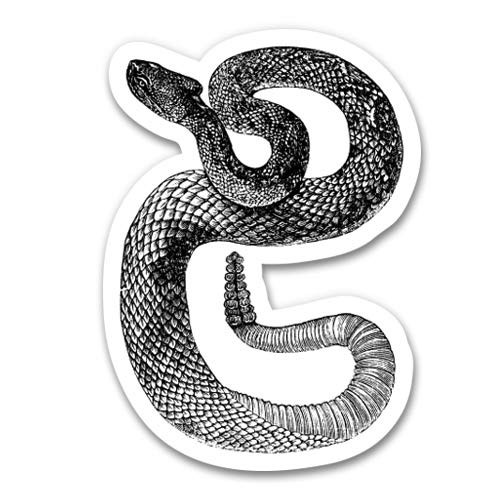 GT Graphics Express Rattlesnake Vintage Illustration - 5" Vinyl Sticker - for Car Laptop I-Pad - Waterproof Decal