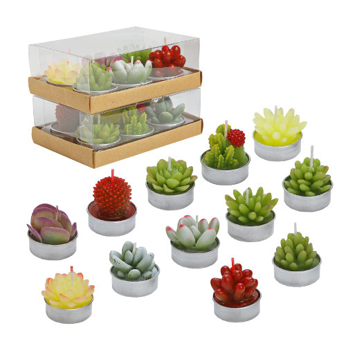 WANGMINGTU Succulent Cactus Tea Light Candles Cute Plant Shaped Bulk for Birthday Party Wedding Baby Bridal Shower Favor Decor Hostess Gift Sets (12 PCS)