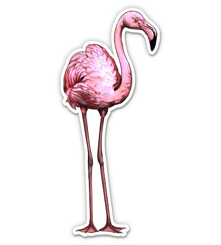 Pretty Flamingo Florida Tropical - 5" Vinyl Sticker - for Car Laptop I-Pad - Waterproof Decal