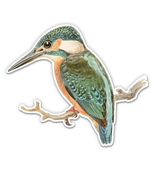 Kingfisher - 5" Vinyl Sticker - for Car Laptop I-Pad - Waterproof Decal Kingfisher - 5" Vinyl Sticker - for Car Laptop I-Pad - Waterproof Decal