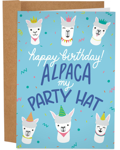 Sleazy Greetings Funny Birthday Card for Him Her | Happy Birthday Cards for Women Men | Pun Alpaca Birthday Card for Husband Wife | Alpaca My Party Hat Card