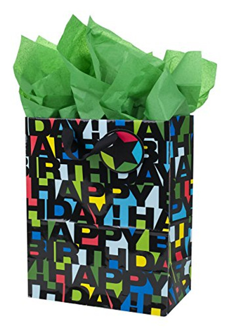 Hallmark Large Birthday Gift Bag with Tissue Paper (Happy Birthday Lettering)
