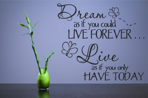 Dream as if You Could Live Forever. Live as only if You Have Today Vinyl Wall Decals Quotes Sayings Words Art Decor Lettering Vinyl Wall Art Inspirational Uplifting