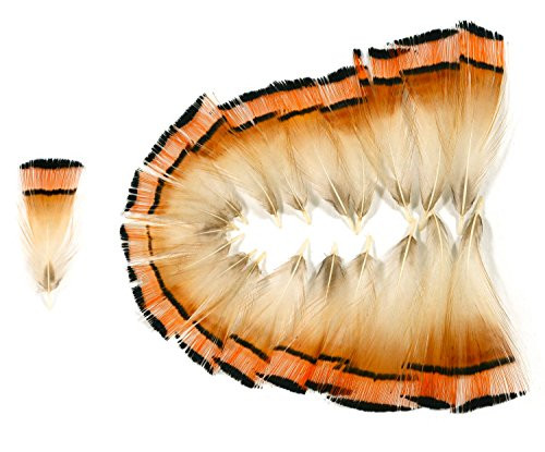 Golden Pheasant Neck Feathers (20 Pieces), Orange and Black Striped (Medium)