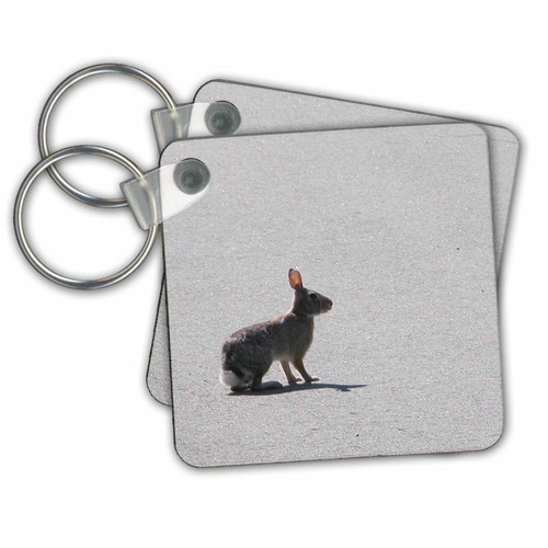 3dRose Sitting Bunny Rabbit - Key Chains, 2.25 x 4.5 inches, set of 2 (kc_32920_1)