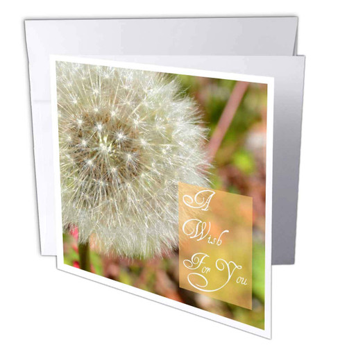 3dRose A Wish For You Dandelion Flower Macro Photography - Greeting Cards, 6 x 6 inches, set of 12 (gc_32568_2) 3dRose A Wish For You Dandelion Flower Macro Photography - Greeting Cards, 6 x 6 inches, set of 12 (gc_32568_2)