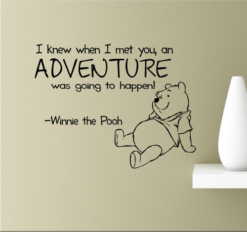 I Knew When I met You, an Adventure was Going to Happen! Vinyl Wall Art Inspirational Quotes Decal Sticker