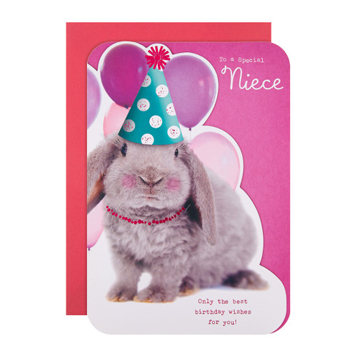 Hallmark Birthday Card for Niece - Cute Die Cut Bunny Rabbit Design