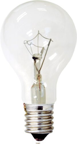 GE Lighting 74037 40-Watt 320-Lumen Decorative A15 Incandescent Light Bulb, Crystal Clear, 2-Pack