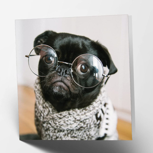 Maturi Blank Greeting Card with Pug in Glasses Dog Image
