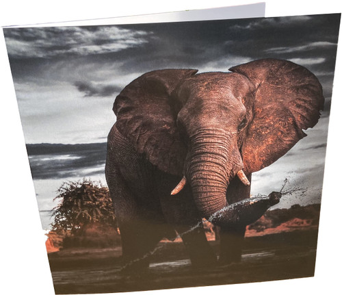 Maturi Blank Greeting Card with Elephant Image