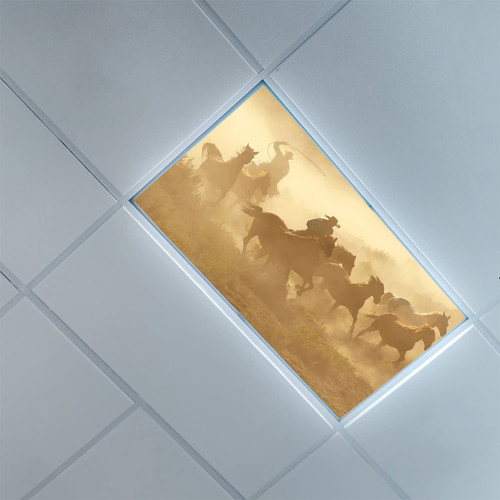 Fluorescent Light Covers for Classroom Office-Western Pattern-Light Filters Ceiling LED Ceiling Light Covers-2ft x 4ft Drop Ceiling Fluorescent Decorative,Pale Brown