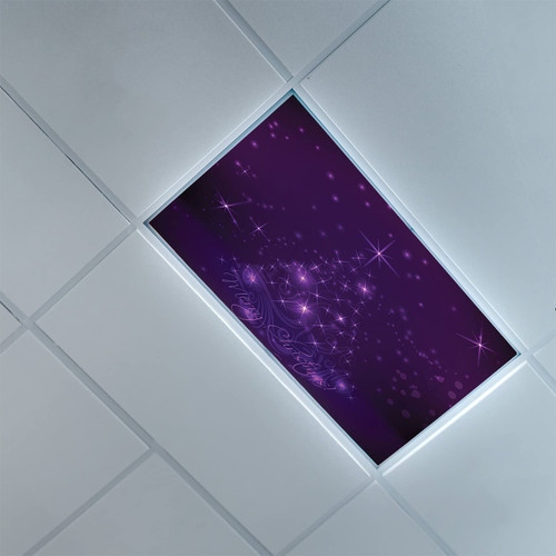 Fluorescent Light Covers for Classroom Office-Dark Purple Pattern-Light Filters Ceiling LED Ceiling Light Covers-2ft x 4ft Drop Ceiling Fluorescent Decorative,Fuchsia