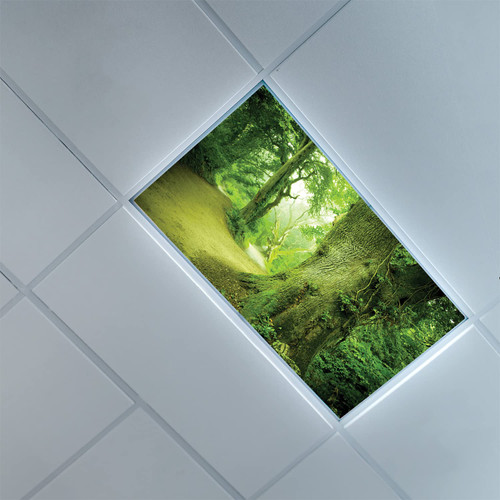 Fluorescent Light Covers for Classroom Office-Fairy Pattern-Light Filters Ceiling LED Ceiling Light Covers-Office & Classroom Decorations,Green