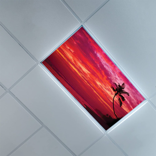Fluorescent Light Covers for Ceiling Light Diffuser Panels-Ocean Pattern-Light Filters Ceiling LED Ceiling Light Covers-2ft x 4ft Drop Ceiling Fluorescent Decorative,Red