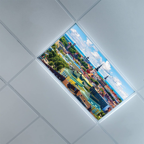 Fluorescent Light Covers for Classroom Office-European Pattern-Light Filters Ceiling LED Ceiling Light Covers-2ft x 4ft Drop Ceiling Fluorescent Decorative,Multicolor