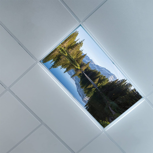 Fluorescent Light Covers for Ceiling Light Diffuser Panels-Glacier National Park Pattern-Light Filters Ceiling LED Ceiling Light Covers-2ft x 4ft Drop Ceiling Fluorescent Decorative,Multicolor