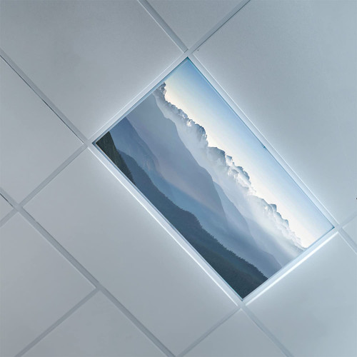 Lorougei Fluorescent Light Covers for Ceiling Light Diffuser Panels-Fog Pattern-Light Filters Ceiling LED Ceiling Light Covers-2ft x 4ft Drop Ceiling Fluorescent Decorative,Slate Blue Blue Grey