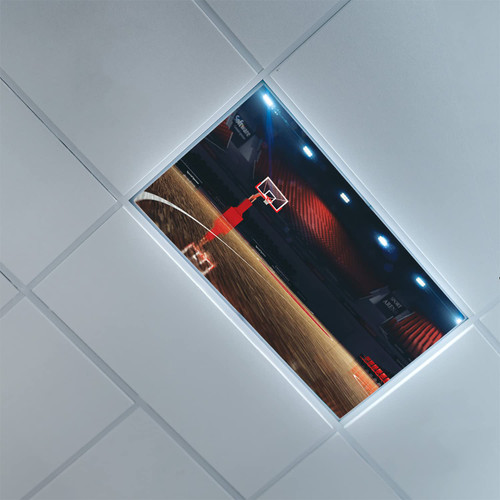 Lorougei Fluorescent Light Covers for Classroom Office-Basketball Pattern-Light Filters Ceiling LED Ceiling Light Covers-2ft x 4ft Drop Ceiling Fluorescent Decorative,Black Brown Red