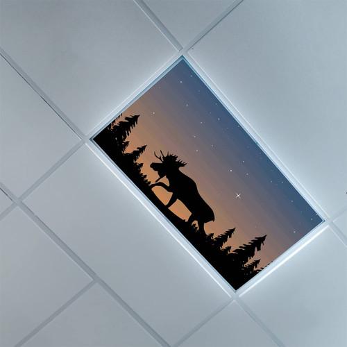 Fluorescent Light Covers for Classroom Office-Moose Pattern-Light Filters Ceiling LED Ceiling Light Covers-2ft x 4ft Drop Ceiling Fluorescent Decorative,Charcoal Grey