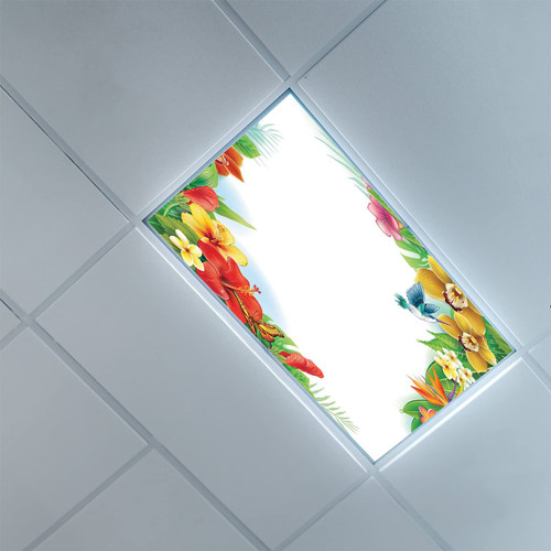 Fluorescent Light Covers for Ceiling Light Diffuser Panels-Hummingbirds Pattern-Light Filters Ceiling LED Ceiling Light Covers-Office & Classroom Decorations,Multicolor