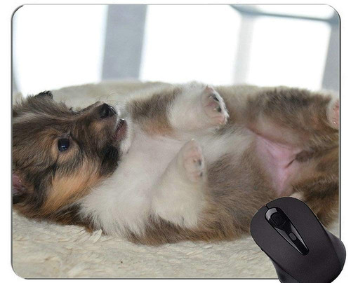 Australian Shepherd Dog Mousepad,Puppy Office Mouse Pad