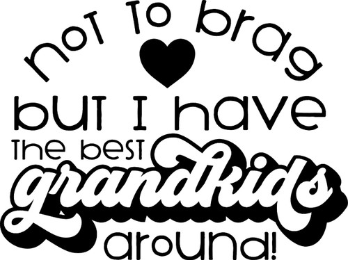 Not to Brag But I Have The Best Grandkids Around Grandparent Love Wall Decals for Walls Peel and Stick Wall Art murals Black Small 8 Inch Not to Brag But I Have The Best Grandkids Around Grandparent Love Wall Decals for Walls Peel and Stick Wall Art murals Black Small 8 Inch