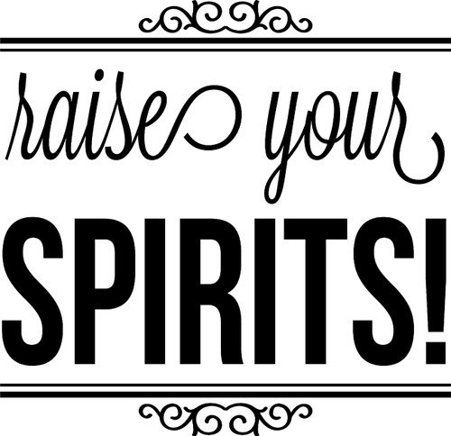 Raise Your Spirits Drinks Halloween Alcohol Funny Ghosts Wall Decals for Walls Peel and Stick Wall Art murals Black Small 8 Inch
