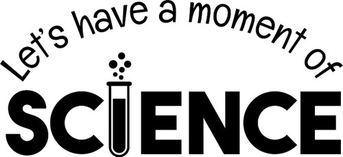 Lets Have A Moment of Science Funny Vial Experiment Wall Decals for Walls Peel and Stick Wall Art murals Black Small 8 Inch