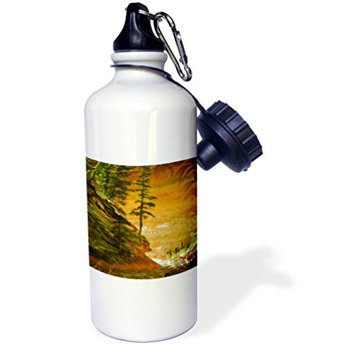 3dRose wb_110910_1"Hanging Pine Tree" Sports Water Bottle, 21 oz, White