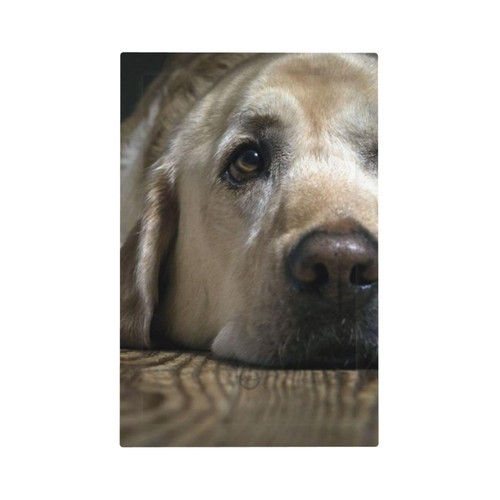 Lovely Labrador Dog Wall Plate Cover 1 Gang Wall Plate Single Gang Light Switch Cover Electrical Receptacle Plug Covers Outlet Switch Cover for Electrical Outlets Decor Lovely Labrador Dog Wall Plate Cover 1 Gang Wall Plate Single Gang Light Switch Cover Electrical Receptacle Plug Covers Outlet Switch Cover for Electrical Outlets Decor