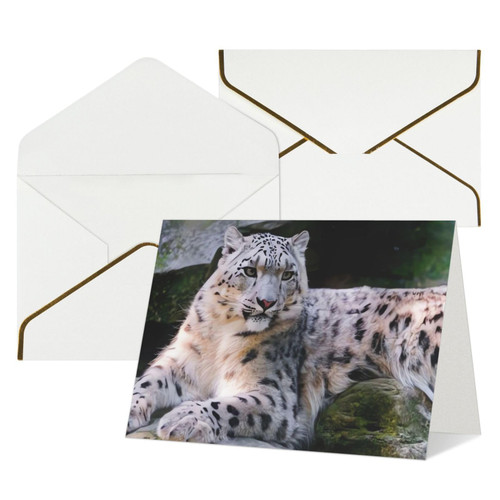 QQLADY Snow Leopard Thank You Cards with Envelopes Blank Birthday Card Mother's Day Card Wedding Christmas Halloween Greeting Cards Cute Blank Notecards All Occasion Greeting Cards