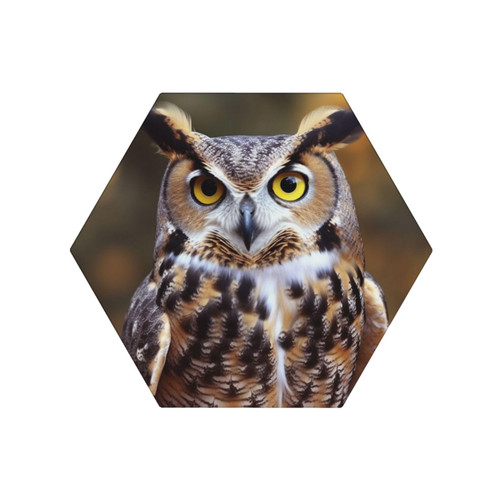 EVANEM Coasters for Drinks Ceramic Coaster Set of 6 Drink Coaster with Metal Holder Owl Birds Cup Coaster Cork Backing Stone Coaster for Wedding Home Decor