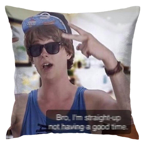 gaewual Bro I'm Straight Up Not Having a Good Time Meme Throw Pillow Case Decorative Pillow Cases Covers for Sofa Couch Cushion 18x18 Inch, 3310203
