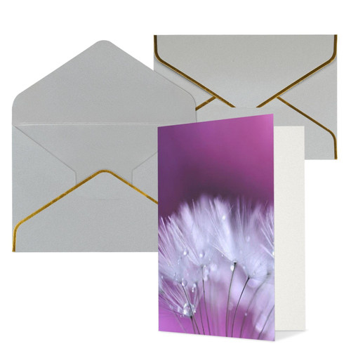 BAFAFA Purple dandel Printed Greeting Cards Blank Note Cards Birthday Cards Sympathy Cards With Envelopes Christmas Cards Light Grey BAFAFA Purple dandel Printed Greeting Cards Blank Note Cards Birthday Cards Sympathy Cards With Envelopes Christmas Cards Light Grey