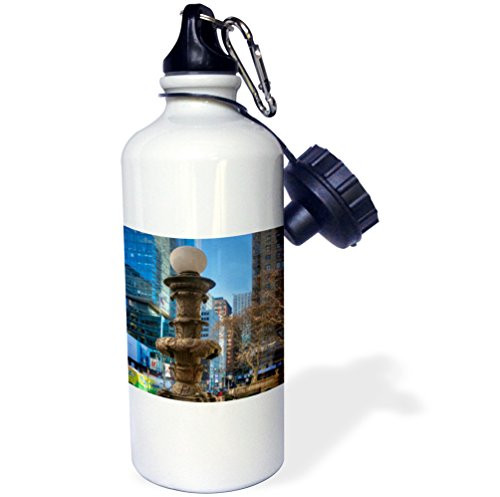 3dRose New York City - Architecture Sports Water Bottle, Multicolor, 21 oz